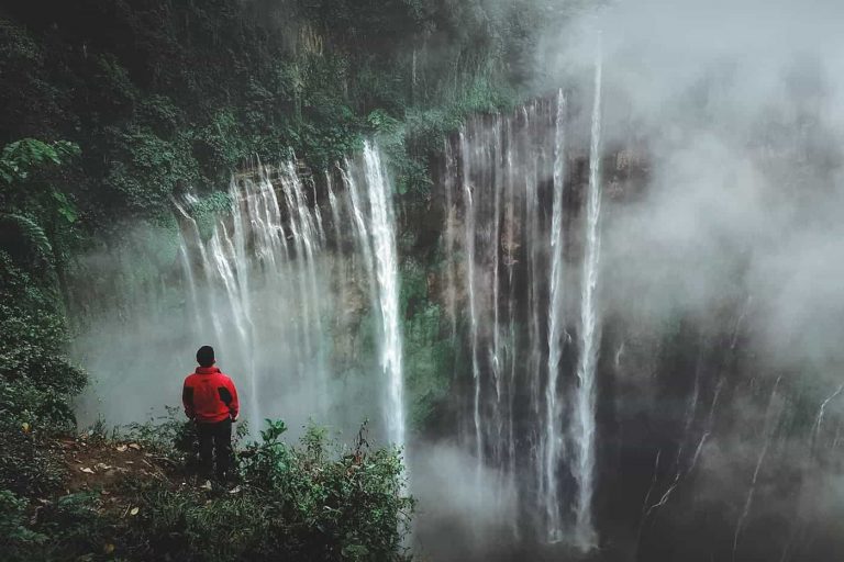 Att Navigera i Vildmarken: Vikten av en Kompass och Hur du Undviker att Gå Vilse