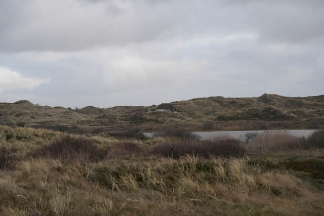 Skandinaviska fjordar: varför du bör besöka dem